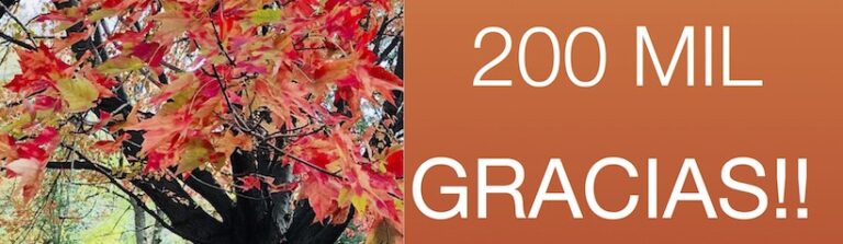 200 Mil Gracias!! – Los 20 Artículos más leídos de mi Blog – PDF