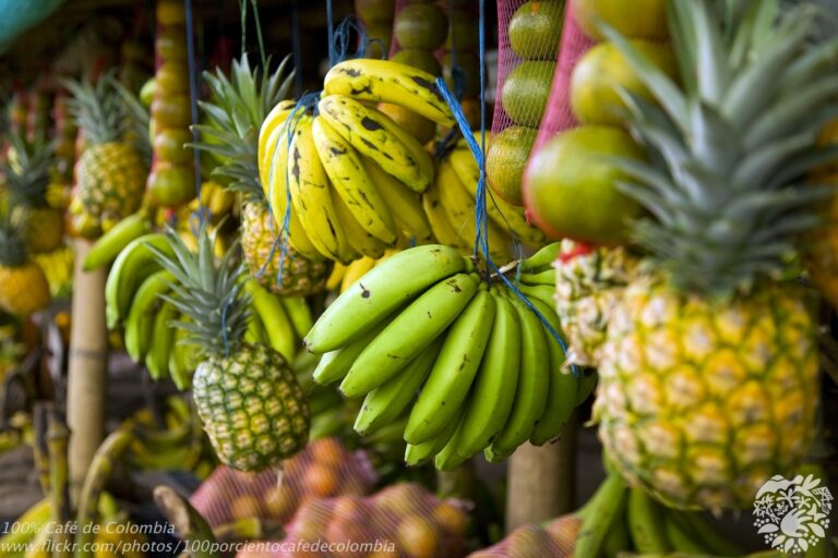 El goce de estar Vivos/as - La Joia - Lluís Llach