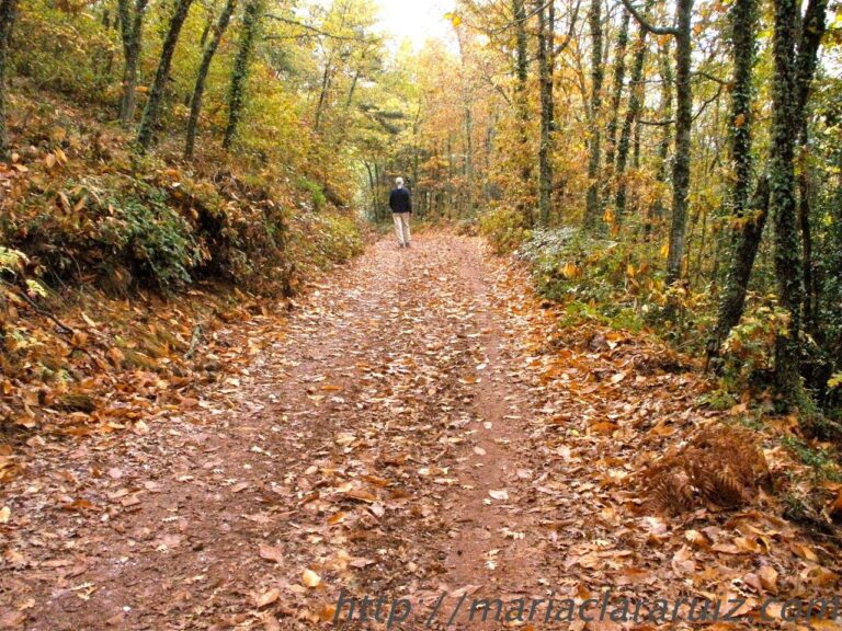 Acompañar en el duelo