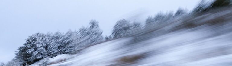 Acoso Moral… La Importancia del Apoyo Social y Familiar