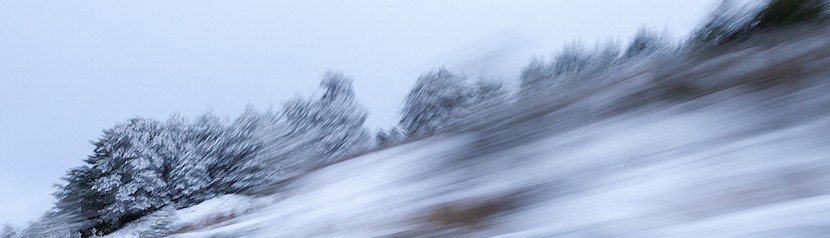 Acoso Moral… La Importancia del Apoyo Social y Familiar