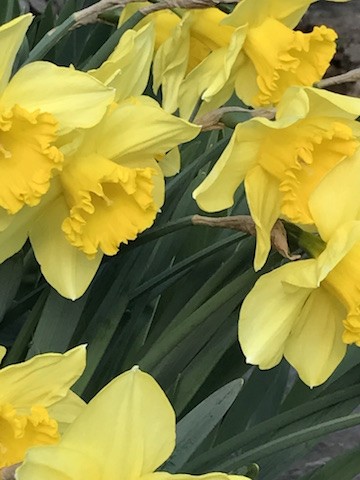 Pacientes... Perseverantes