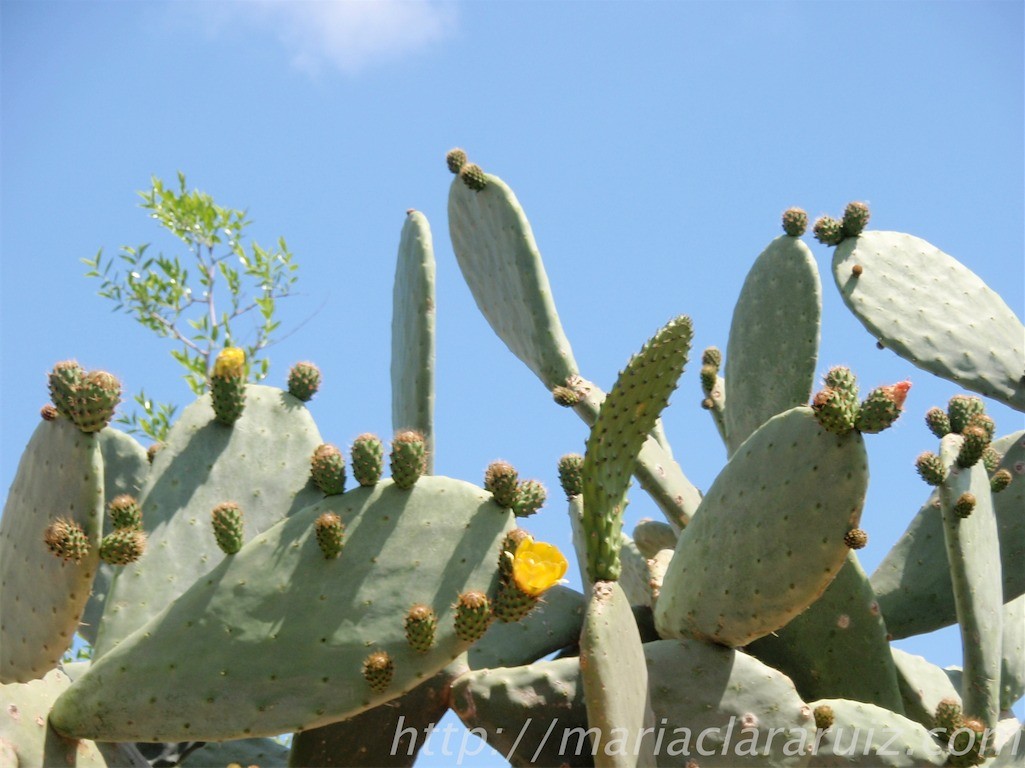 Amor y Dependencia: Del Sometimiento al Equilibrio