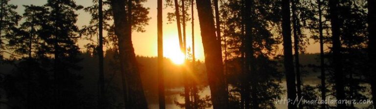 Ansiedad ante la Muerte