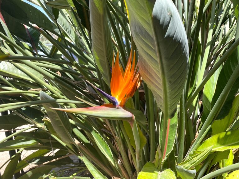 Ansiedad: ese vendaval que te domina