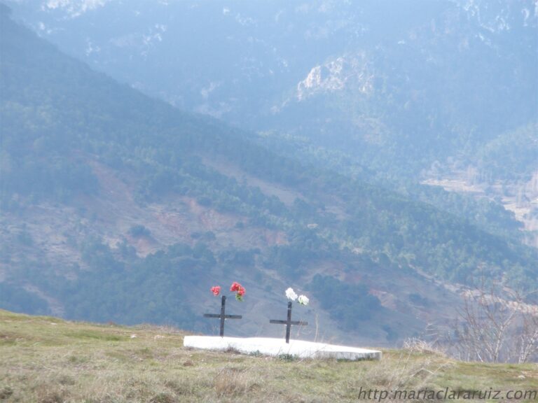 Atención: La Austeridad es Nociva para la Salud
