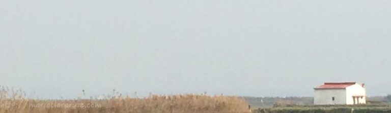 Ausencia en la Presencia