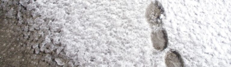 Bloqueo Emocional e Inmigración