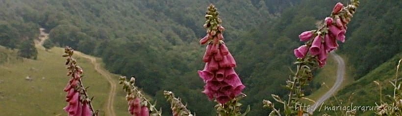 Cambios Felices… y Estrés!!