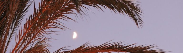 Cáncer y Emoción: Una relación Particular