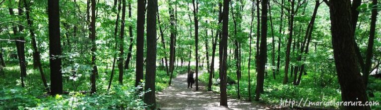 Carta a un(a) Hermano(a) Latinoamericano(a)