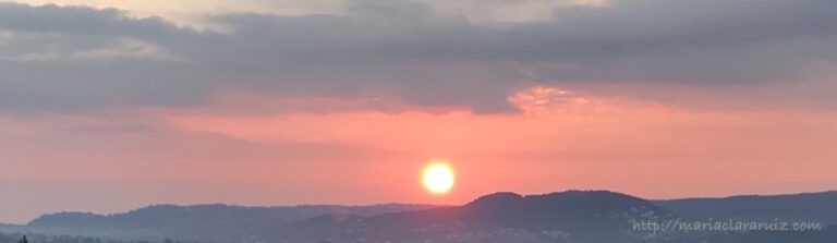 Cómo elegir a tu Psicoterapeuta