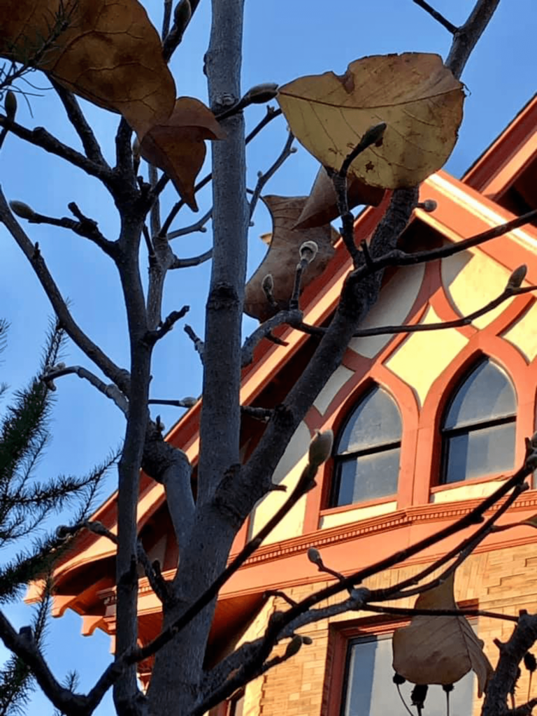 Con un enfermo en Casa