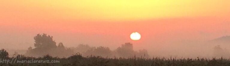 Contacto y Psicoterapia Caracteroanalítica