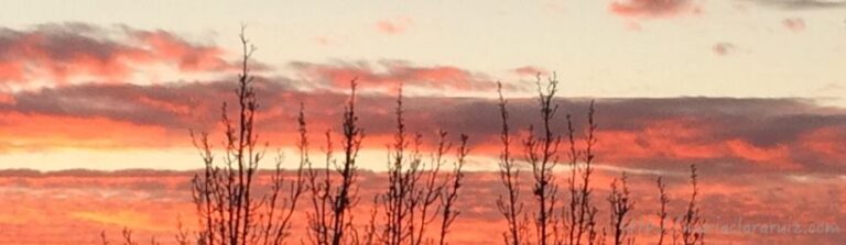 Contactos Artificiales - Muletas que no ayudan a Caminar