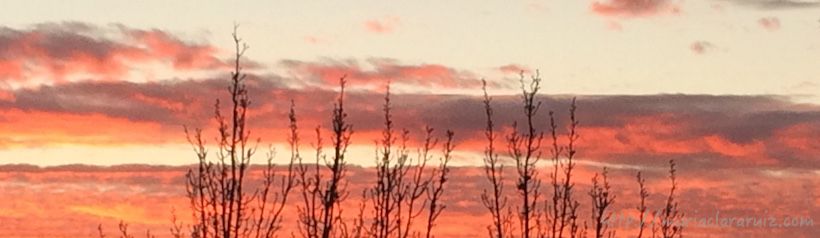 Contactos Artificiales - Muletas que no ayudan a Caminar