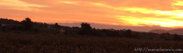 Cuando el Sexo encubre la Intimidad