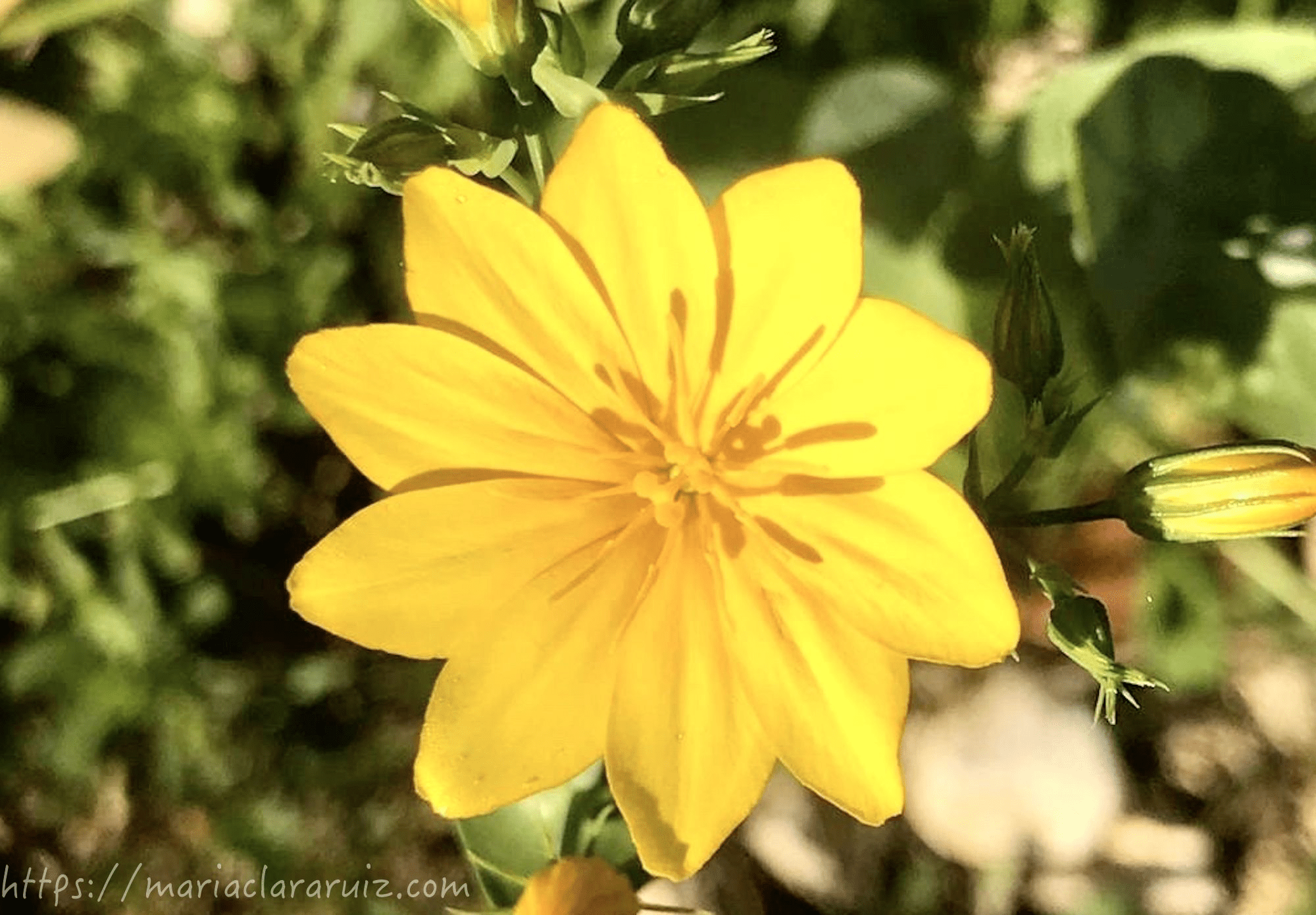 en-la-duda-esta-la-respuesta