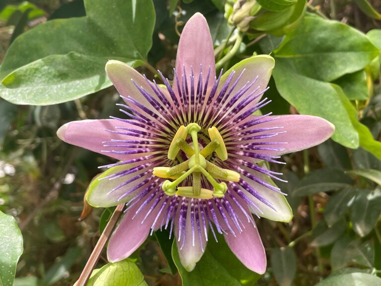 Decisiones trascendentales - 10 Reflexiones