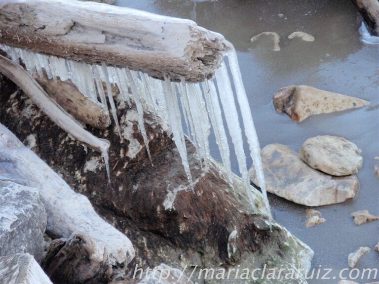 La Depresión y sus Síntomas visibles... e Invisibles