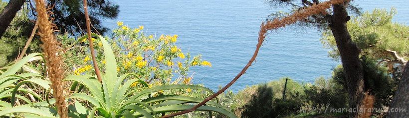 Despacio… Despacio