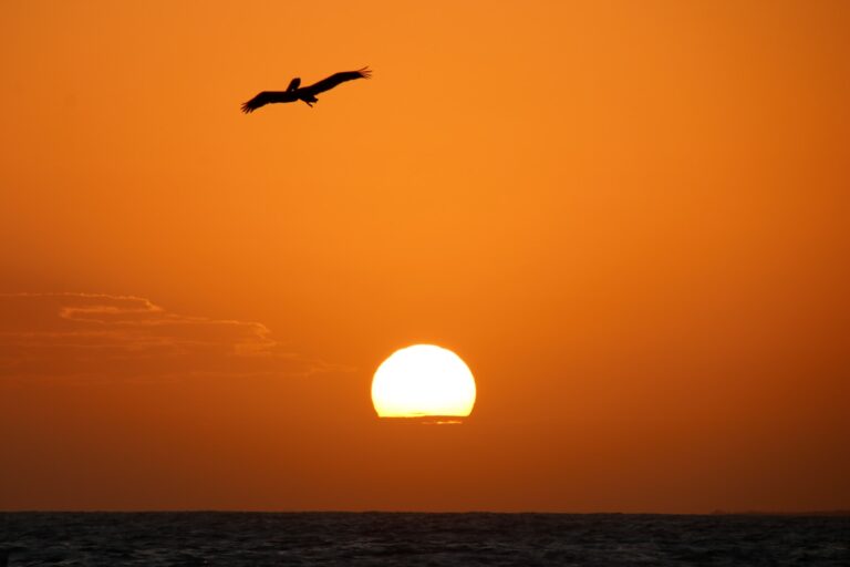 Terapia Online - Por qué sí
