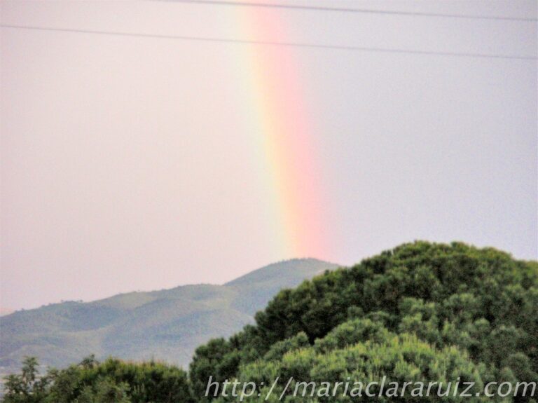 Apoyo Psicológico en situaciones de Acoso Laboral
