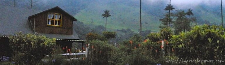 El miedo a la Soledad y sus Estragos