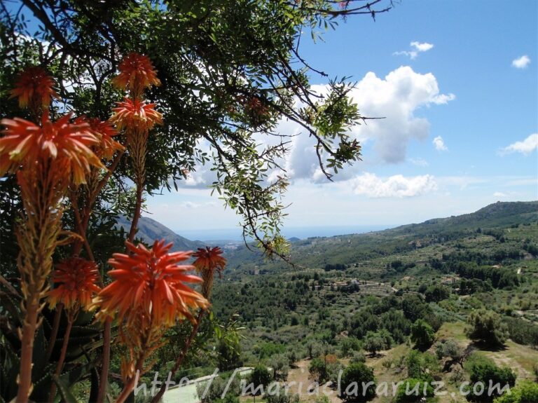 Actitudes Masoquistas en la Vida Cotidiana