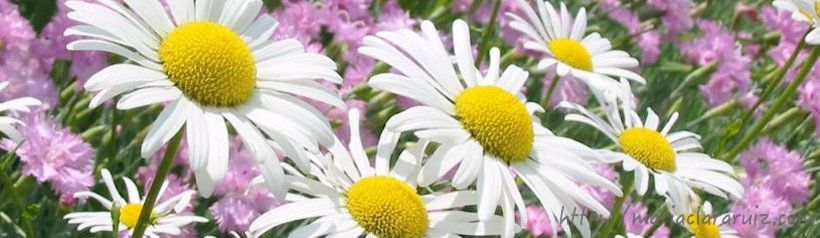 creación-bloqueo-fluidez