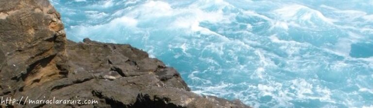 Energía Vital y Energía Bloqueada - W. Reich