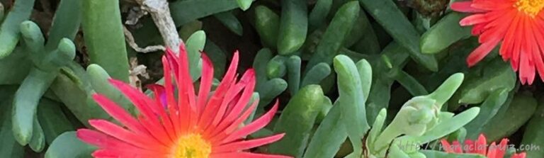 ¿Estabilidad? o… ¿Estancamiento?