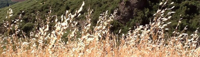 Estrés y Salud: En la Justa Medida