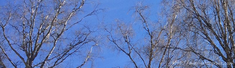 narcisistas-sistemas-familiares