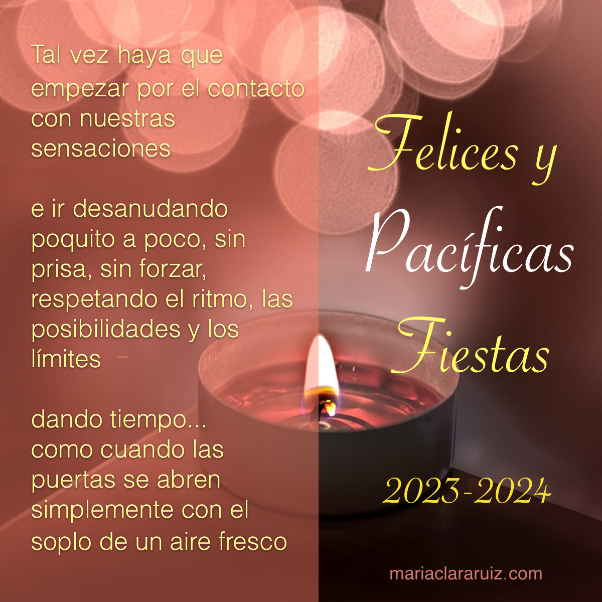 Felices y Pacíficas Fiestas 2023 – 2024