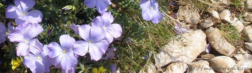 Hacia una ética del Cuidado