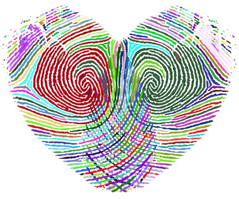Cruzando Fronteras… Historias Migrantes