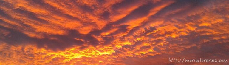 Ideas Obsesivas y Psicoterapia