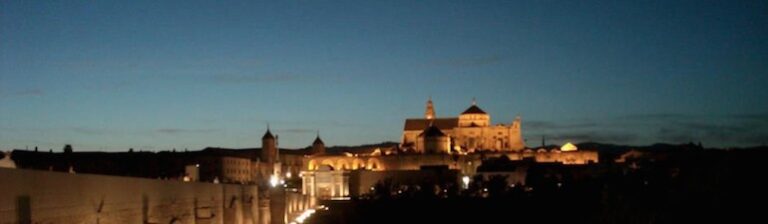 In Memoriam - Sobre el Duelo