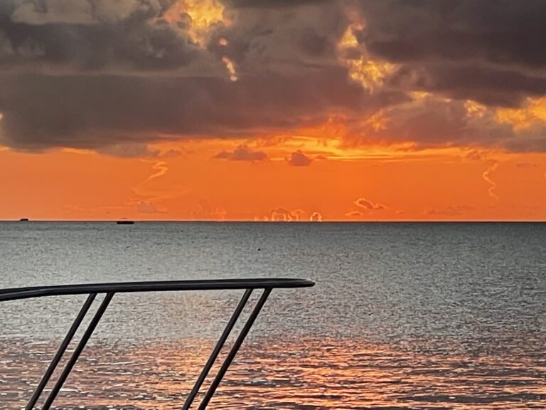 Ir al Psicólogo o hacer Psicoterapia