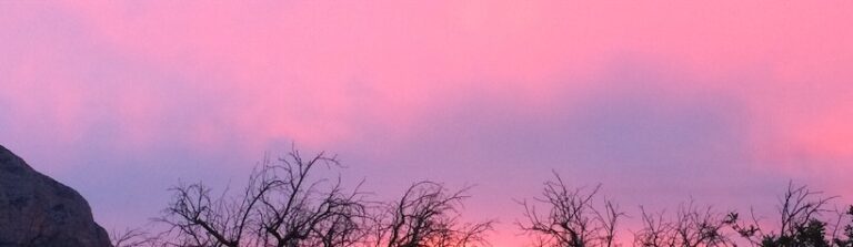 Jordi Martínez: En la Libertad de las Niñas y los Niños