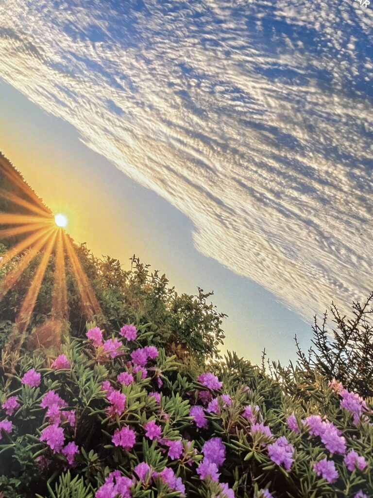 Juventud… ¿Generación Perdida?