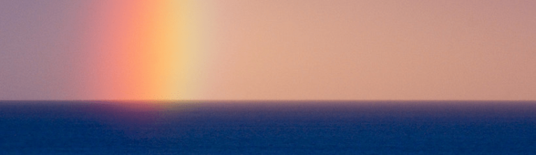 La Ballena de la Vida