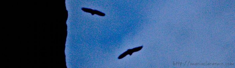 Depresión... ¿Cosa de Mujeres?