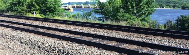 La Importancia de la Niñez en la Vida Adulta