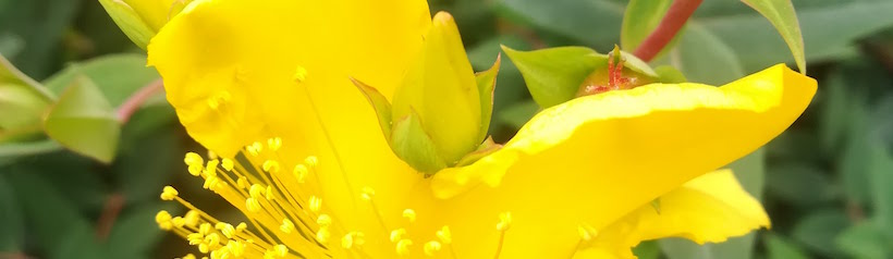 psicologo-me-puede-ayudar