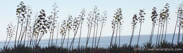 La Tristeza no se piensa... Se llora