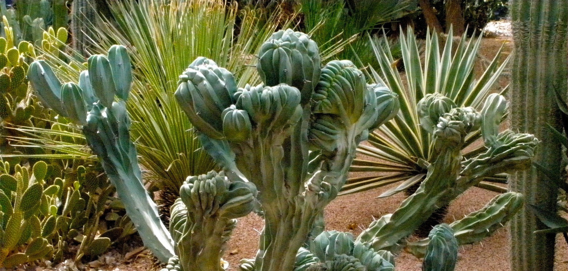 La Violencia Cotidiana