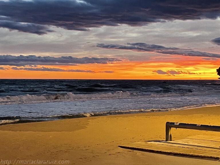 Las huellas del amor y el desamor