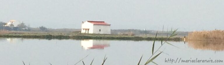 El Duelo por lo que Nunca Fue... Las Memorias Olvidadas